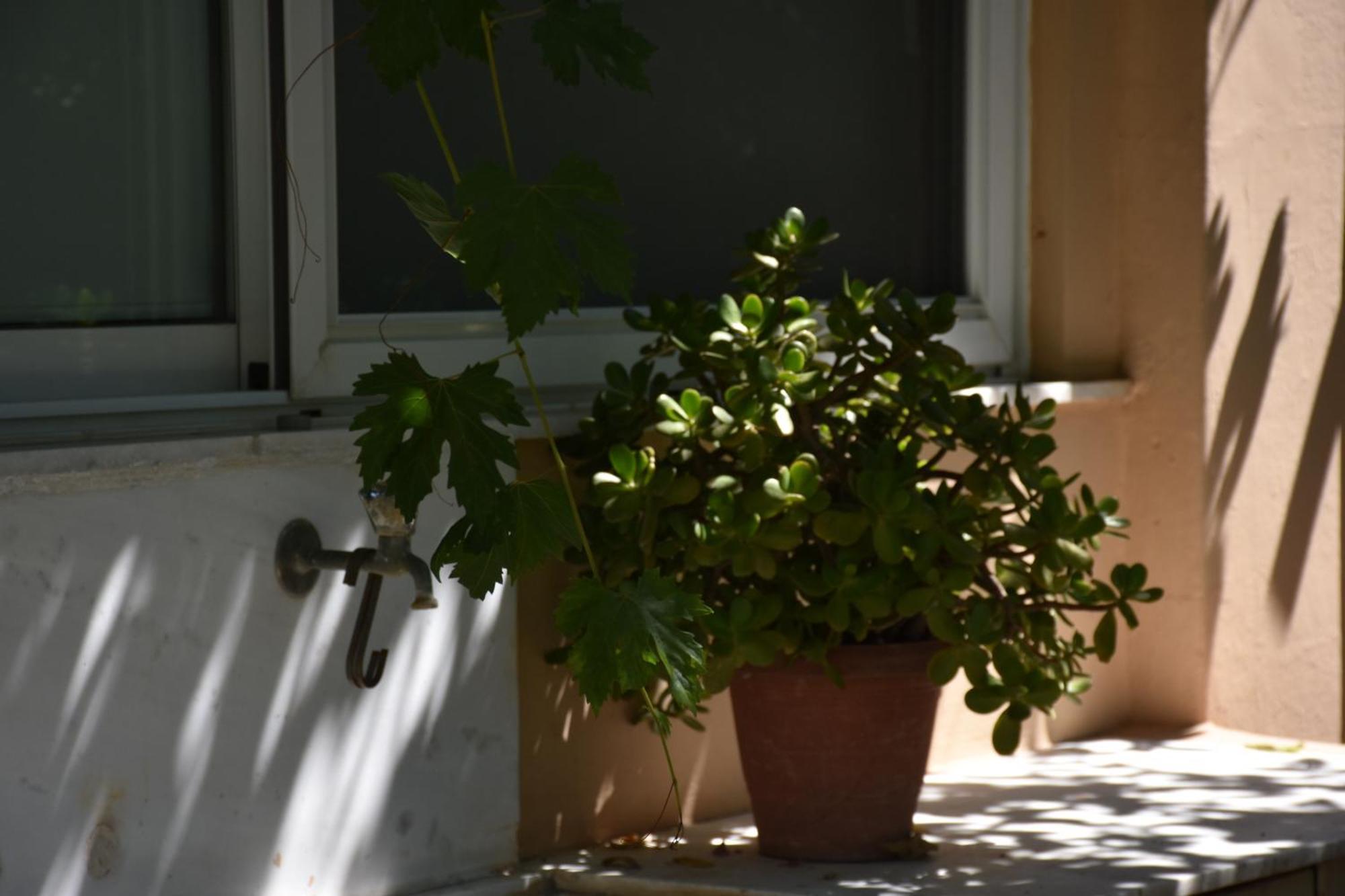 公寓 Gerani Gerani (Chania)